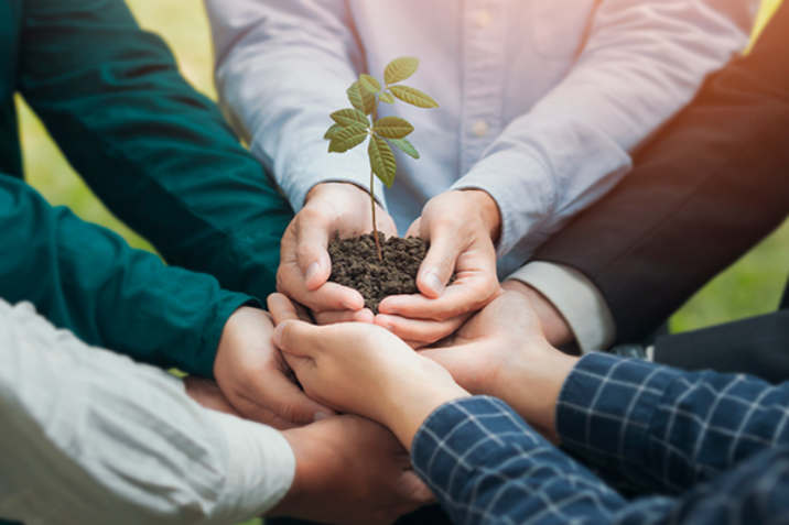 Registro con experiencia de usuario: fluido, sustentable y tech